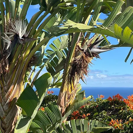 Lejlighed Tomillos *